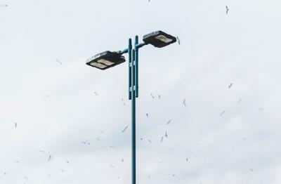 Как правильно понимать все в одном интегрированном солнечном уличном свете?